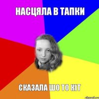 насцяла в тапки сказала шо то кіт