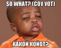 so what? (соу уот) какой койот?