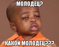 молодец? какой молодец???