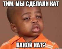 тим, мы сделали кат какой кат?