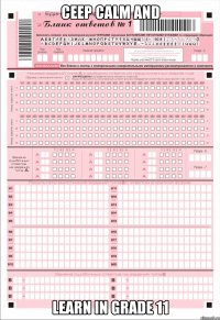 ceep calm and learn in grade 11
