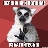 вероника и полина! узбагойтесь!!!