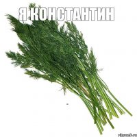 я константин а ты - никто