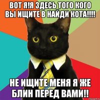 вот я!я здесь того кого вы ищите в найди кота!!! не ищите меня я же блин перед вами!!