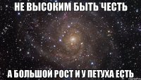 не высоким быть честь а большой рост и у петуха есть