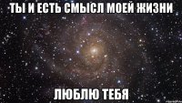 ты и есть смысл моей жизни люблю тебя