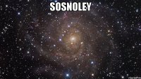 sosnoley 