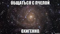 общаться с пчелой охигенно