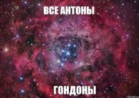 Все Антоны ГОНДОНЫ