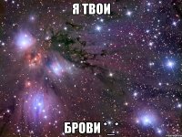 я твои брови *_*