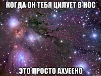 когда он тебя цилует в нос это просто ахуеено