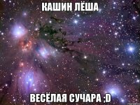 кашин лёша весёлая сучара ;d