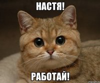 настя! работай!