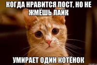 когда нравится пост, но не жмёшь лайк умирает один котёнок