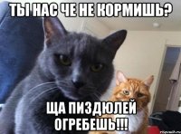 ты нас че не кормишь? ща пиздюлей огребешь!!!