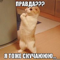 правда??? я тоже скучаююю...