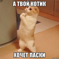 а твой котик хочет ласки