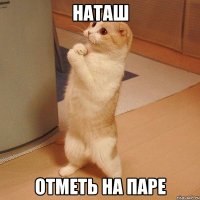 наташ отметь на паре