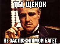 ты, щенок не заслужил мой багет