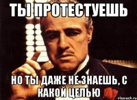 ты протестуешь но ты даже не знаешь, с какой целью