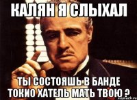 калян я слыхал ты состояшь в банде токио хатель мать твою ?