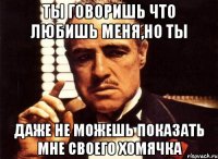 ты говоришь что любишь меня,но ты даже не можешь показать мне своего хомячка