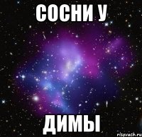 сосни у димы