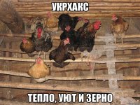 укрхакс тепло, уют и зерно