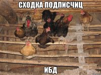 сходка подписчиц ибд