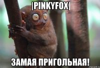 |pinkyfox| замая пригольная!