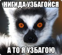 нигида узбагойся а то я узбагою