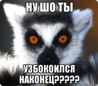 ну шо ты узбокоился наконец???