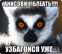 анисович, блеать!!! узбагойся уже...