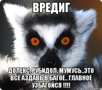 вредиг долекс, рубидол, мумусь..это все аздавь в багое.. главное узбагойся !!!