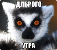 длброго утра