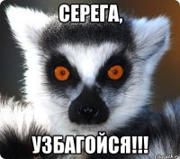 серега, узбагойся!!!