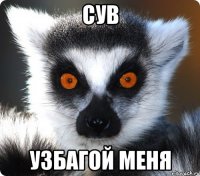 сув узбагой меня