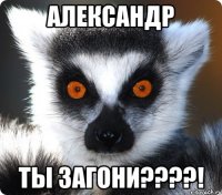 александр ты загони???!