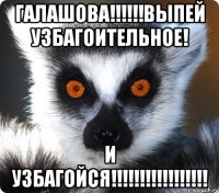 галашова!!!выпей узбагоительное! и узбагойся!!!