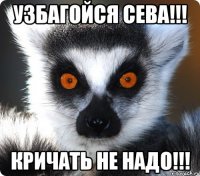 узбагойся сева!!! кричать не надо!!!