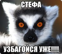 стефа узбагойся уже!!!