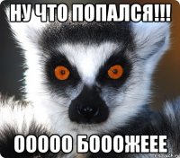 ну что попался!!! ооооо бооожеее