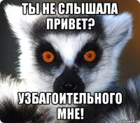 ты не слышала привет? узбагоительного мне!