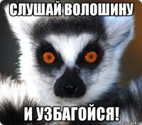 слушай волошину и узбагойся!