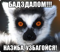 бадздалом!!! назиба, узбагойся!