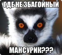 где не збагойный мансурик???