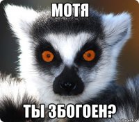 мотя ты збогоен?