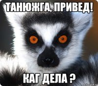 танюжга, привед! каг дела ?