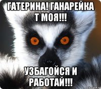 гатерина! ганарейка т моя!!! узбагойся и работай!!!