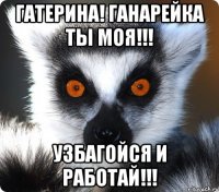 гатерина! ганарейка ты моя!!! узбагойся и работай!!!